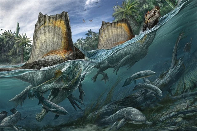 Top 5 điều thú vị xoay quanh Spinosaurus - kẻ săn mồi đáng sợ ngang cơ cả T-REX - Ảnh 3.