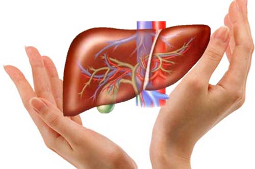 Thải mọi độc tố trong gan chỉ chưa tới 1 ngàn đồng nhờ những thực phẩm kiếm đâu cũng có