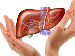 Thải mọi độc tố trong gan chỉ chưa tới 1 ngàn đồng nhờ những thực phẩm kiếm đâu cũng có