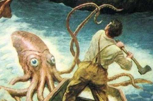 Giải mã bí ẩn mực khổng lồ 'quái vật' biển sâu