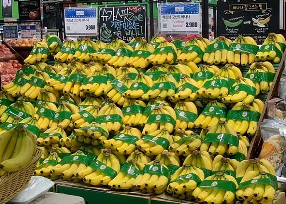 Chuối Việt Nam lần đầu tiên xuất hiện tại thị trường bán lẻ Hàn Quốc 