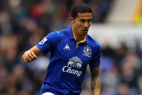 3. Tim Cahill (Australia - Everton).