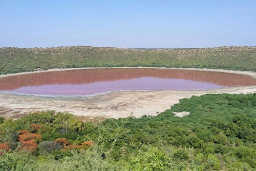 Nước hồ Lonar bỗng chuyển màu đỏ au.