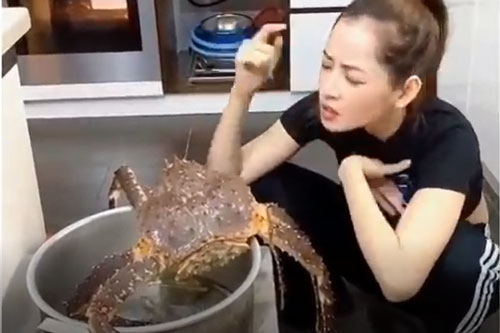 CLIP: Những khoảnh khắc "lầy lội" của Ngọc Trinh, Chi Pu và Ninh Dương Lan Ngọc trên TikTok