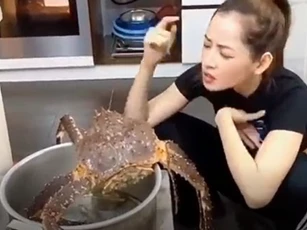 CLIP: Những khoảnh khắc "lầy lội" của Ngọc Trinh, Chi Pu và Ninh Dương Lan Ngọc trên TikTok