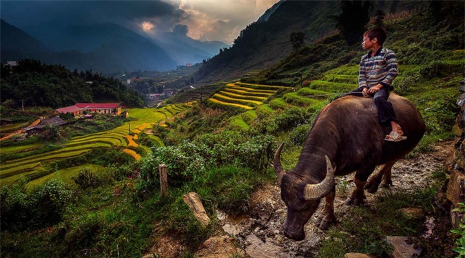 Bản Cát Cát (Sapa, Lào Cai) đượcSCMPliệt kê tên trong danh sách 7 ngôi làng đẹp nhất thế giới mà du khách nên ghé thăm sau dịch. Đến với bản Cát Cát, bạn sẽ thu vào tầm mắt khung cảnh thiên nhiên hoang sơ, những ngôi nhà sàn nhỏ xinh, thửa ruộng bậc thang quyến rũ.