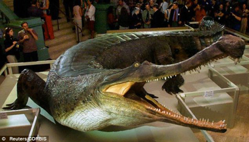 Bằng chứng cho thấy cá sấu từng ăn cỏ, chạy lon ton như chó