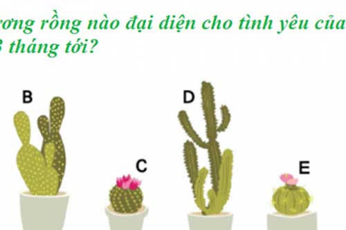 Trắc nghiệm: Nhìn cây xương rồng, đoán tình duyên của bạn trong 3 tháng tới