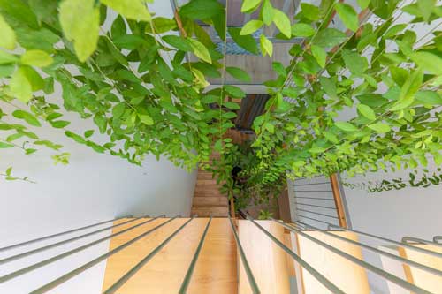 Ngắm ngôi nhà cong độc đáo giữa Sài Gòn