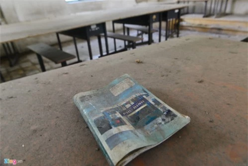 Cảnh u ám trong trường 20 tỷ bỏ hoang ở Sài Gòn - 11