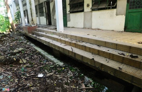 Cảnh u ám trong trường 20 tỷ bỏ hoang ở Sài Gòn - 3