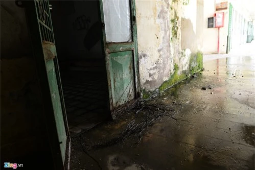 Cảnh u ám trong trường 20 tỷ bỏ hoang ở Sài Gòn - 6