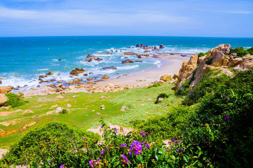 Khám phá vẻ đẹp hoang sơ của biển Cổ Thạch trong mùa không rêu