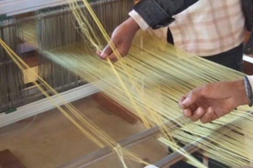 Vi khuẩn biến đổi gien có thể tạo ra loại tơ nhện siêu bền cho việc chế tạo trang phục không gian