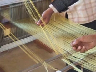 Vi khuẩn biến đổi gien có thể tạo ra loại tơ nhện siêu bền cho việc chế tạo trang phục không gian