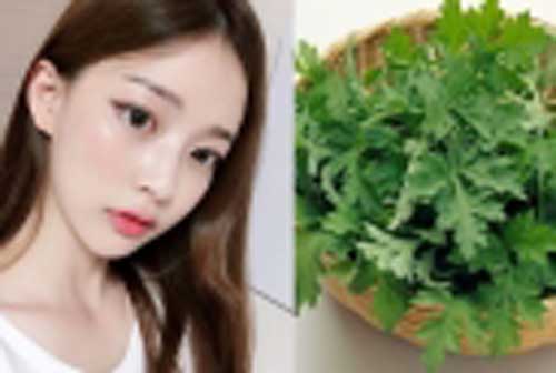Lợi ích bất ngờ của ngải cứu: Không chỉ chữa bệnh mà còn là "thần dược" trị mụn, trắng da