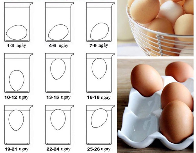 Muốn chọn trứng gà tươi ngon chỉ cần làm đúng 1 việc, bà bán hàng chắn chắn không bao giờ tiết lộ