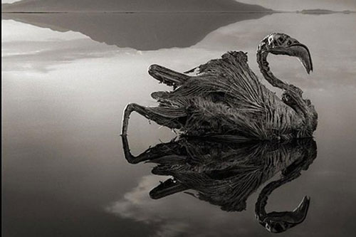 Top 4 hồ nước 'tử thần' đẹp nhất thế giới