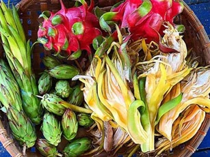Lạ miệng với món ăn từ hoa thanh long
