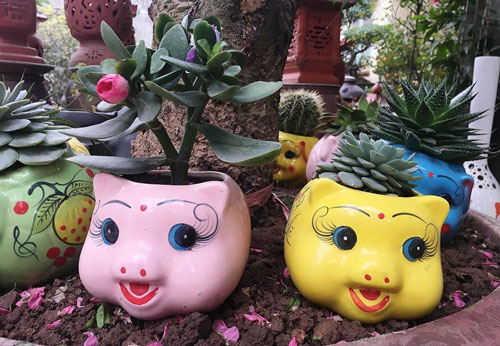 CLIP: Hướng dẫn tái chế chai nhựa thành chậu trồng hoa hình các con vật dễ thương