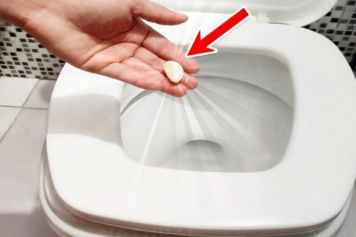 Lợi ích đặc biệt của việc ném 1 tép tỏi vào bồn cầu, nhà nhà đều muốn học theo