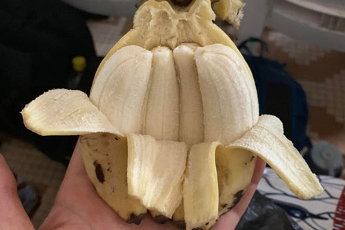 "Ngỡ ngàng' trước những hình ảnh lạ lùng trong cuộc sống