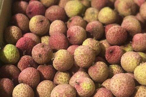 Để được 'xuất ngoại', trái vải Việt phải trải qua các công đoạn gì?