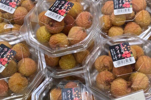 Gần 12.000 đồng cho 1 quả vải thiều Việt tại Nhật