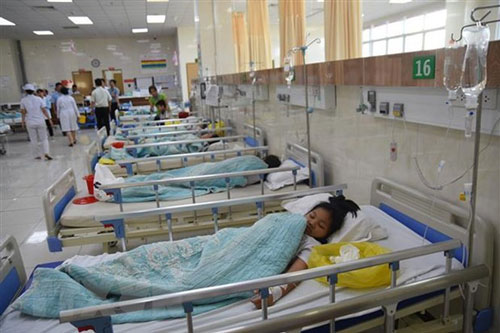 Gia tăng các vụ ngộ độc rượu chứa cồn công nghiệp, nấm độc