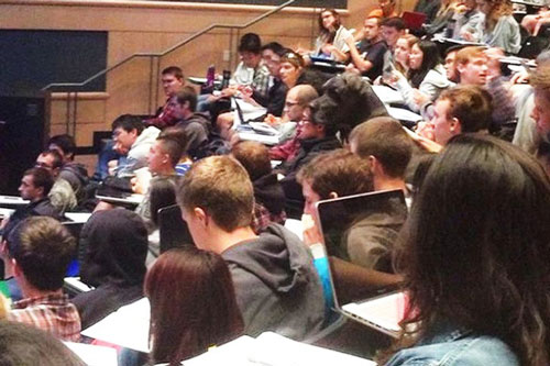 Những người giỏi quan sát cũng khó có thể tìm thấy hết sự khác biệt trong các bức ảnh này