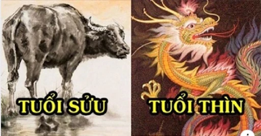 Tử vi ngày 23/6/2020 dự báo tuổi Sửu có một ngày cực kì may mắn