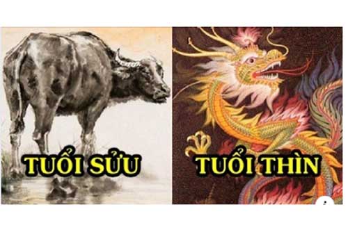 Tử vi ngày 23/6 của 12 con giáp: Sửu có một ngày may mắn, Thìn và người ấy dễ xảy ra mâu thuẫn