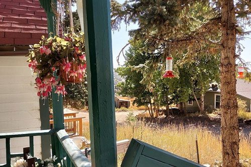 Chồng bật khóc trước lá đơn ly hôn của vợ