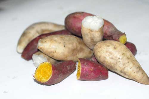 Đọc bài này xong chắc chắn gia đình bạn sẽ ăn khoai lang nhiều hơn bất cứ thực phẩm nào