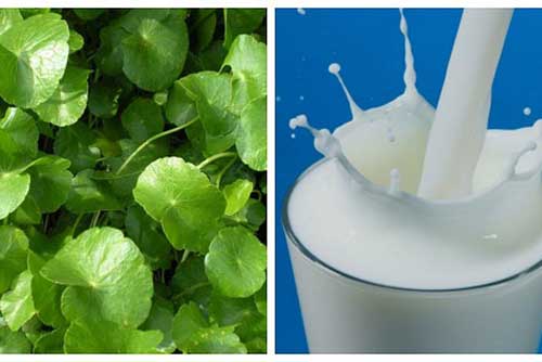 Bạn đã biết mặt nạ rau má sữa tươi với công dụng 3 trong 1 đang khiến chị em "mê như điếu đổ"?