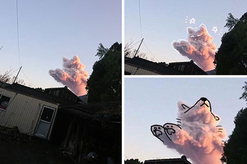 Những khoảnh khắc kỳ quái trong tự nhiên khiến bạn muốn nhìn mãi không rời mắt