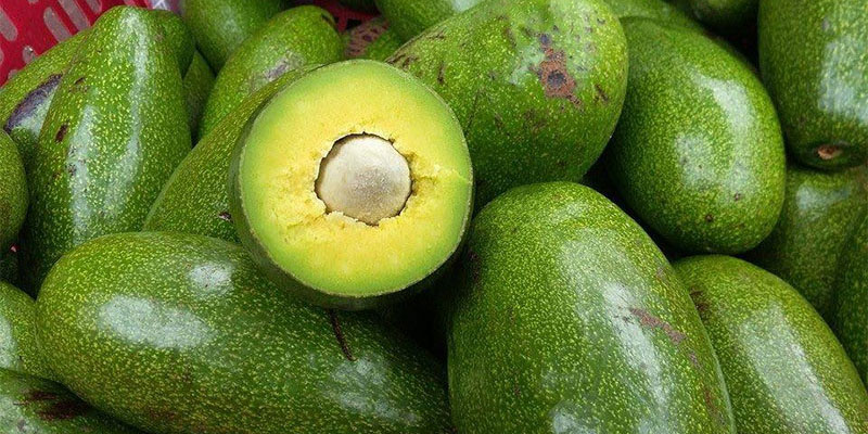 Bí quyết ủ bơ chín nhanh, không cần hóa chất