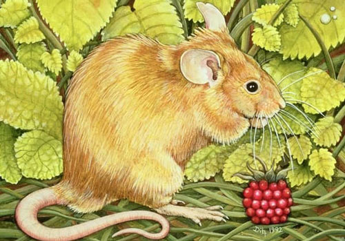 3 con giáp xui xẻo, gặp vận hạn về tiền bạc nửa cuối năm 2020, cẩn thận kẻo khuynh gia bại sản