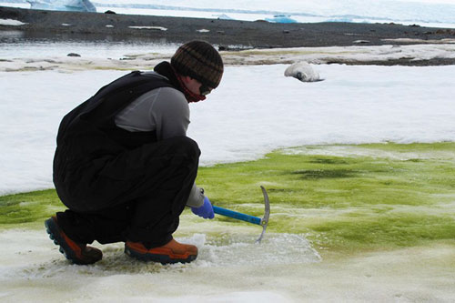 Tuyết Nam Cực chuyển màu xanh, lời cảnh báo đáng sợ cho con người