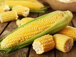 Những món ăn quen thuộc được coi là 'thần dược', ăn vào bổ máu, tuổi thọ tăng cao