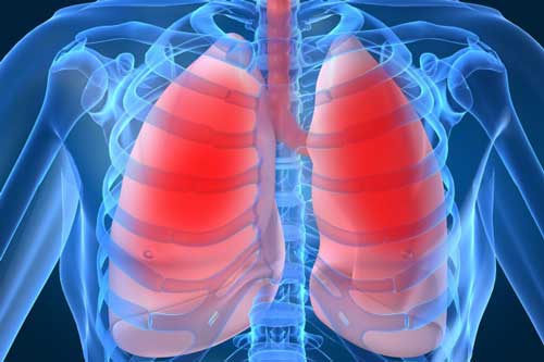 3 thực phẩm chống ung thư, làm sạch phổi hiệu quả không kém nhân sâm