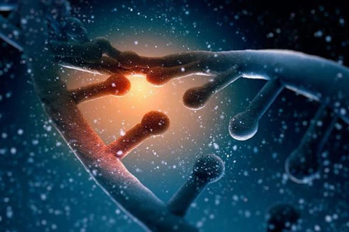 Có một số quan điểm cho rằng do gene nên loài người khó có thể tự mình ngừng đẻ để bảo vệ Trái Đất - Ảnh: Shutterstock.