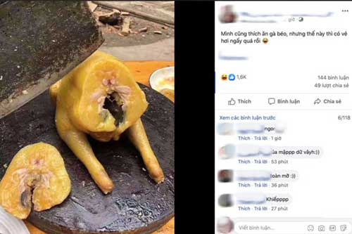 Luộc được con gà vàng óng, cô gái đem đi chặt thì giật mình vì gà "nhiễm mỡ toàn thân"