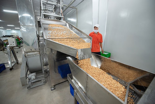 Ngành điều khó vững vì căng thẳng nguồn cung