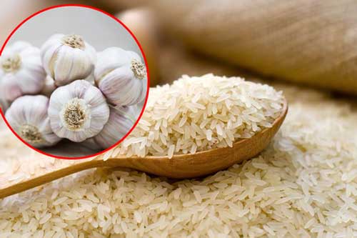 Cho một tép tỏi vào thùng gạo đảm bảo mối mọt, ẩm mốc không bao giờ xuất hiện