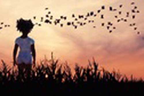 Trắc nghiệm: Lộ trình tình yêu mà số phận sắp đặt cho cuộc đời bạn là gì?