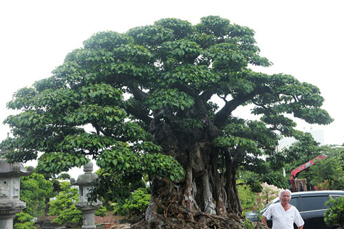 'Mắt bão' có 1 không 2, 'Vạn hoa lầu' số 1 Việt Nam gây xôn xao 'dân chơi'