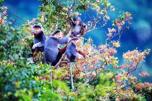 Báu vật thiên nhiên