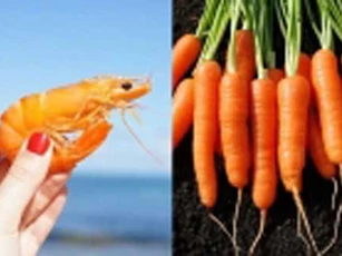 Cà rốt kết hợp với thực phẩm này độc như "thạch tín", chớ dại mà ăn thử