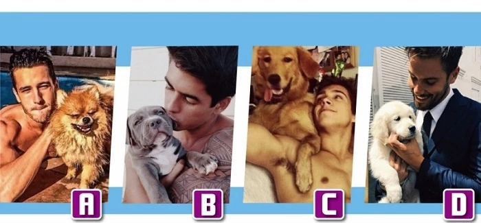 Bạn thích bức hình 'chàng trai bên chó cưng' nào nhất?